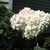 Sandy Valleau's profile image