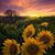 Susan Martin's profile image