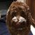 Carrie Dubrow von Braun's profile image