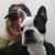 Ranae Cole Vogelsong's profile image