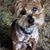 Patricia Bachman Empson's profile image