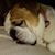 Penny Clawson Givin's profile image