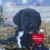 Brenda Lee Niemann's profile image
