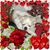 Lisa Valentine Askren's profile image