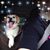 Brandi Thompson's profile image