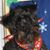 Sharon Corley Morin's profile image