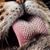 Valerie Swanger's profile image