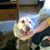 Phebe Neary's profile image