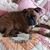 Julie Williams's profile image