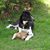 Sandi Crandall's profile image