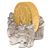 Nicolas Niggi de Courten's profile image