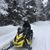 Daniel Arsenault's profile image