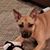 Deb Hershberger-Garb's profile image