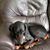 Andria Oesterle's profile image