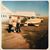 Trimbi Austin Szabo's profile image