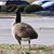 Jeffrey J Worden's profile image
