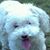 Betty Edwards's profile image