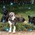 David Strouse's profile image