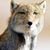 James Woodfield's profile image