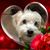 Maria Roman-Lopez's profile image