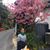Shiroma Romelia's profile image