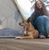 Allison Fowle's profile image