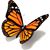 Deborah Arnao-LeCesne's profile image
