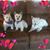 Sheri Sorby's profile image