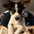 Celia G. Wright's profile image