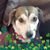 Patti O'Dell-Dooley's profile image