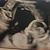 Marlene Gunderson's profile image