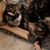 Tiffany Mistretta's profile image