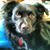 Brenda J Lucas's profile image