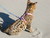Crystal L.'s profile image