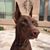 Holly Carver McShane's profile image