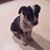 Jack S Corwin's profile image
