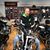 Roger Mulloy's profile image