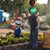 Matt DeLisio's profile image