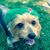 Rich Tadlock's profile image