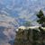 Cathy McIvor's profile image