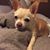 Lou Anne Bridges's profile image