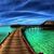 Hossain Mia's profile image