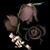 Shannan Dooley's profile image