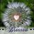 Debbie Nicholson McLaren's profile image