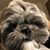 Kelly Czarnecki's profile image