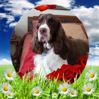 Marla Hicks's profile image