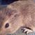 Cindy Sheridan's profile image