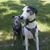 Deb Schmidt's profile image