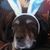 Leslie Hallford's profile image
