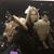 Donna Vela's profile image
